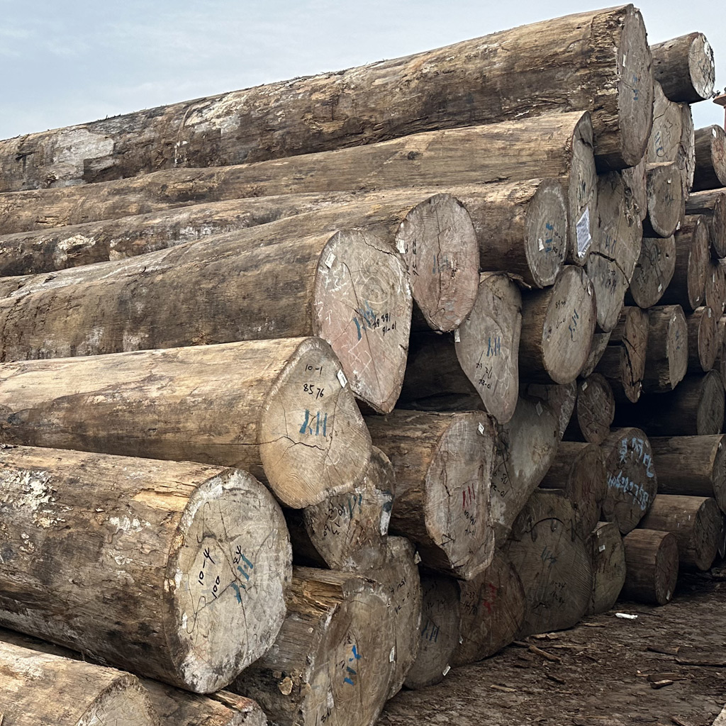 Saniwerke Import Wood